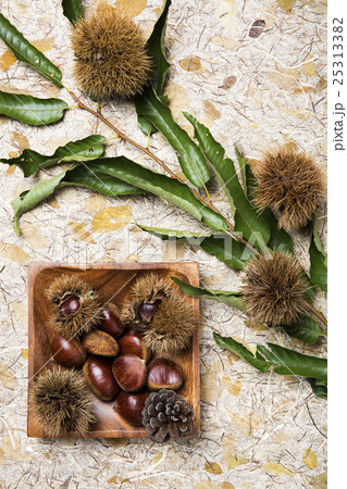 Autumn Atmosphere Objects Autumn Atmosphere Objects 25313382