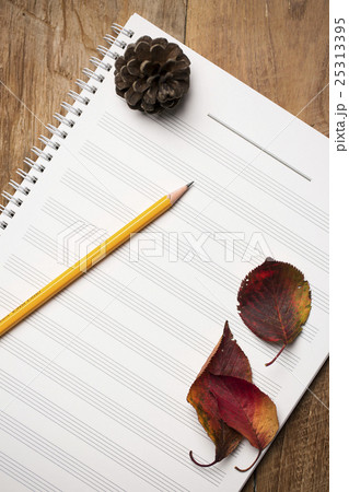 Autumn Atmosphere Objects Autumn Atmosphere Objects 25313395