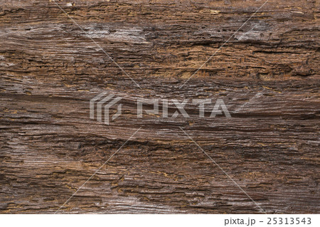 Texture Background 25313543