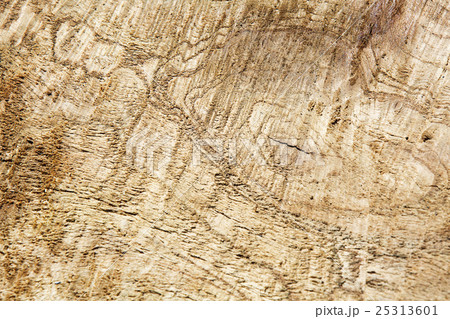Texture Background Texture Background 25313601