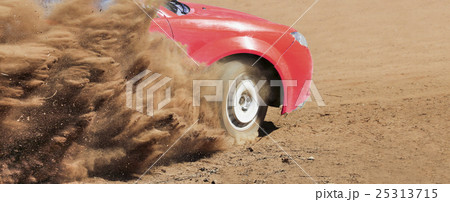 Rally Car in track 25313715