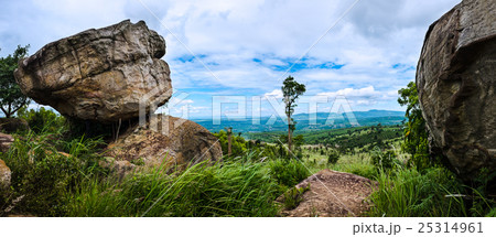 Panorama of the summer, colorful landscape. Panorama of the summer, colorful landscape. 25314961