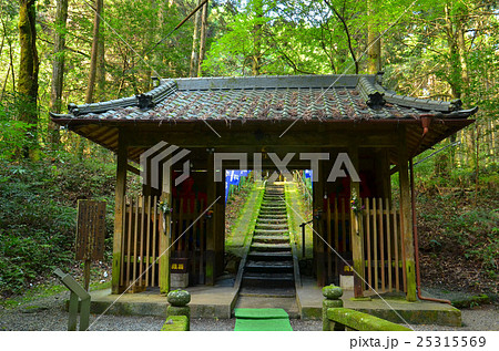 谷水薬師 25315569