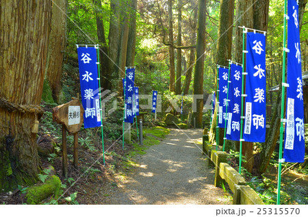 谷水薬師 25315570