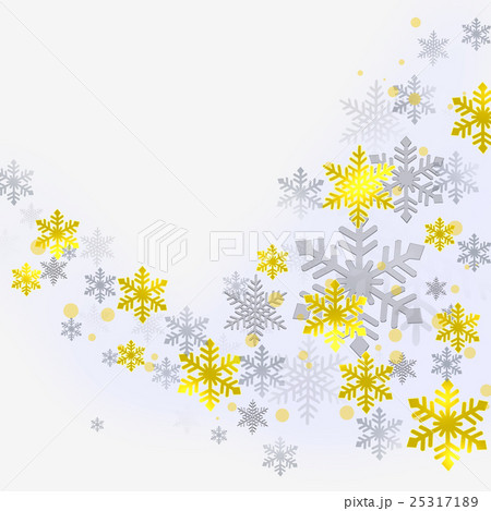 クリスマス 雪の結晶 スノーフレーク リース クリスマス 雪の結晶 スノーフレーク リース 25317189