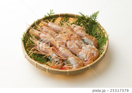 北海道産ボタンエビ 25317379