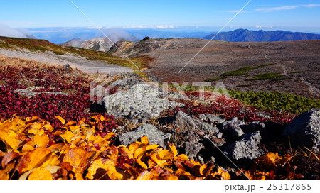 赤岳と風衝地に映える草紅葉 25317865