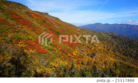 銀泉台の紅葉 25317866