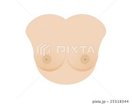 woman`s bust with perfect breasts 25318344