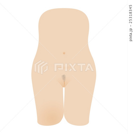 naked female body with vagina 25318345