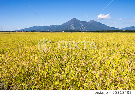 会津磐梯山 会津磐梯山 25318402