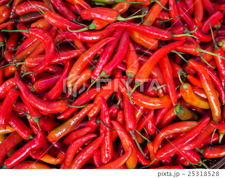 Red chillies for sale at market,Thailand 25318528
