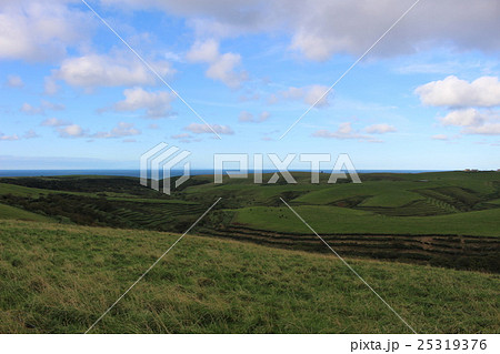 夕方の宗谷丘陵　稚内　北海道 25319376