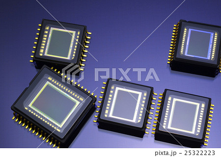 干支の置物 干支の置物 25322223