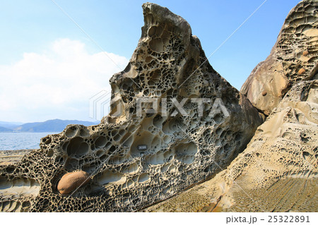 高知県土佐清水市　見残し海岸　蜂の巣城 25322891