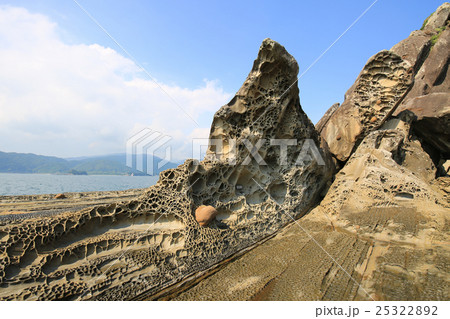 高知県土佐清水市　見残し海岸　蜂の巣城 25322892