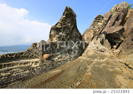 高知県土佐清水市　見残し海岸　蜂の巣城 25322893
