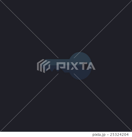 Key computer symbol 25324204