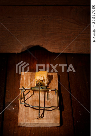 charged mousetrap cheese 25327080