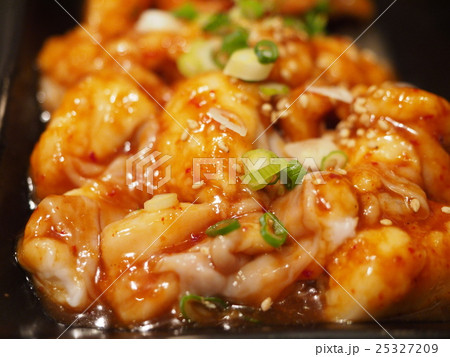 テッチャン テッチャン 25327209