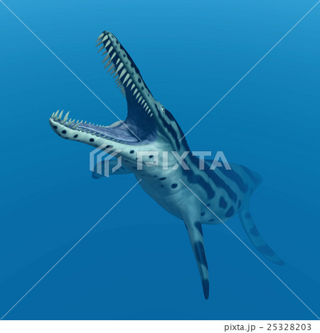 Pliosaur Kronosaurus 25328203