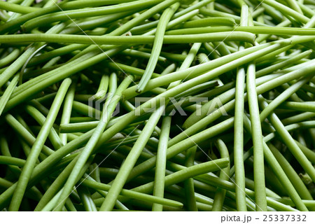 芋のつる 芋のつる 25337332