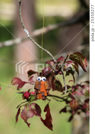 ミノムシ マスコット ミノムシ マスコット 25350277