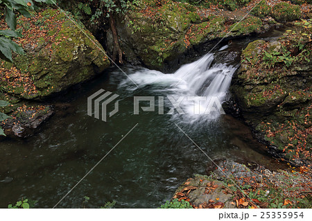 晩秋の小滝 高尾山・小仏川 晩秋の小滝 高尾山・小仏川 25355954