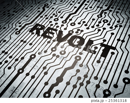 Political concept: circuit board with Revolt 25361318