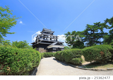 国宝 松江城 -別名：千鳥城- 25362477