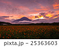 秋の夕暮れの富士 25363603