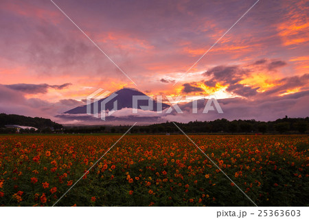 秋の夕暮れの富士 25363603