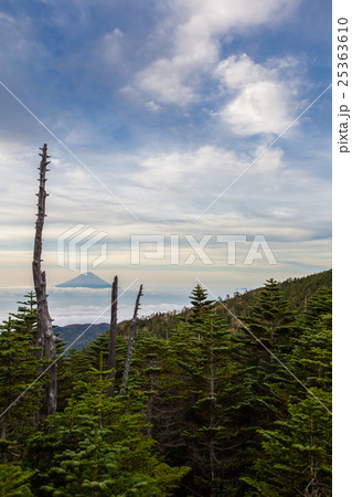 国師ヶ岳からの富士 25363610