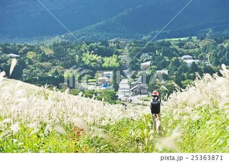 ススキの中を探索するカメラマン 25363871