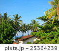Palms and roof close to the beach, Sri Lanka 25364239
