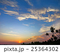 Black palm trees silhouettes on sunset sky 25364302