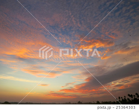 Beautiful sunset sky in Mirissa, Sri Lanka 25364303