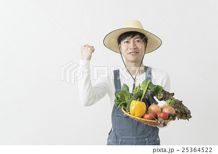 ガッツポーズする野菜農家の男性 25364522