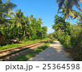 Railway in palm trees forest, Weligama, Sri Lanka 25364598
