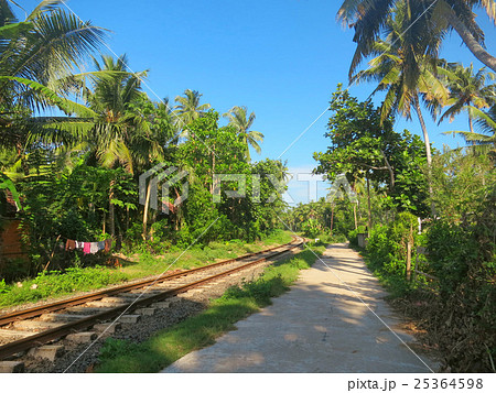 Railway in palm trees forest, Weligama, Sri Lanka 25364598