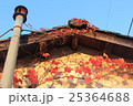 つたの紅葉 25364688