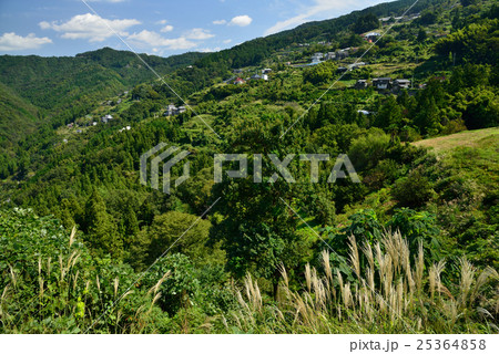徳島県美馬郡つるぎ町望郷乃丘(10月) 徳島県美馬郡つるぎ町望郷乃丘(10月) 25364858