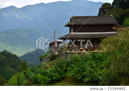スダチ実る農家(徳島県美馬郡) スダチ実る農家(徳島県美馬郡) 25364862