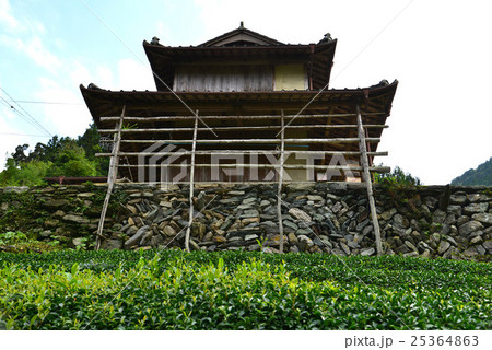 お茶農家（徳島県美馬郡） 25364863