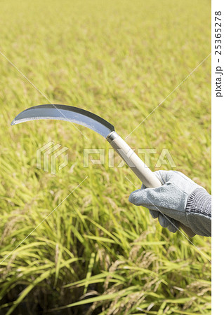 農業イメージ 25365278