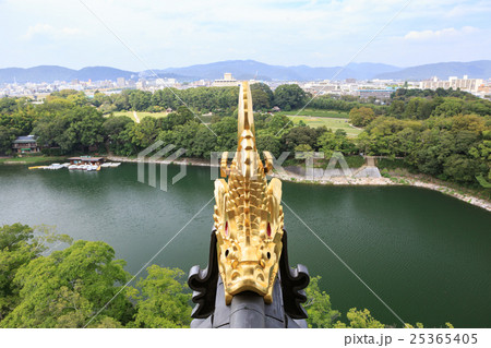 岡山城 -天守からの金鯱と後楽園- 岡山城 -天守からの金鯱と後楽園- 25365405