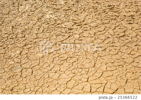cracked soil background 25366522