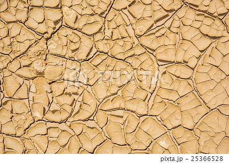 cracked soil background 25366528