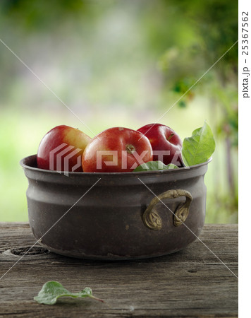 summer apples summer apples 25367562
