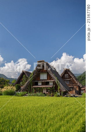 白川郷の合掌集落 25367780